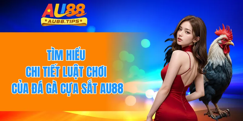 Tìm Hiểu Chi Tiết Luật Chơi Của Đá Gà Cựa Sắt AU88