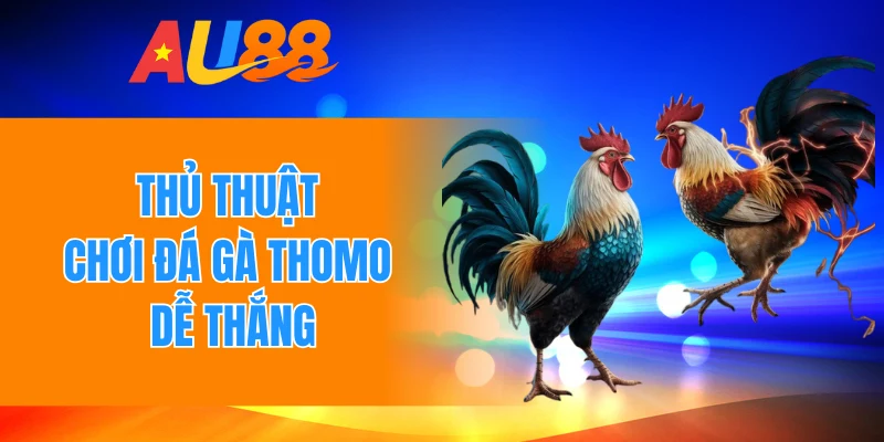 Thủ thuật chơi đá gà Thomo dễ thắng